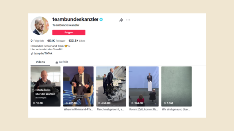 Der Kanal des Bundespresseamts mit dem Namen „Team Bundeskanzler". © Screenshot Quadriga Media Berlin