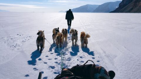 Huskys ziehen einen Hundeschlitten über eine eis- und schneebedeckte Landschaft. Voran geht eine Person.