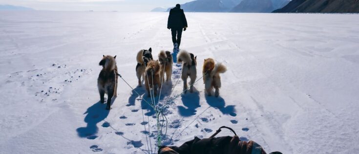 Huskys ziehen einen Hundeschlitten über eine eis- und schneebedeckte Landschaft. Voran geht eine Person.