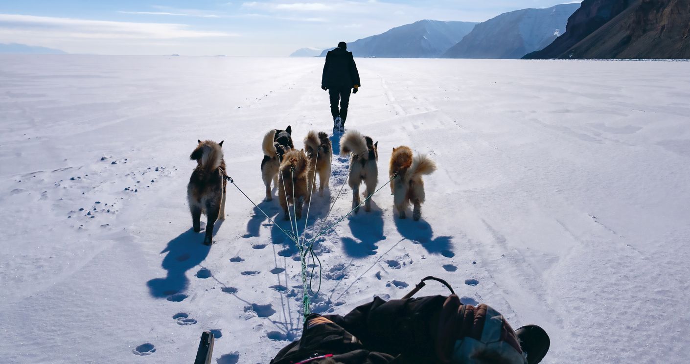 Huskys ziehen einen Hundeschlitten über eine eis- und schneebedeckte Landschaft. Voran geht eine Person.