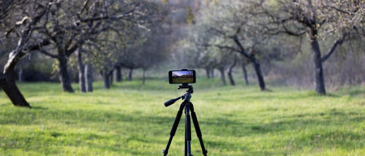 Smartphone auf einem Stativ filmt eine alte Gartenlandschaft mit Apfelbäumen und grünem Gras. Dazu die Bildunterschrift: Raus in die Natur: Wer Nachhaltigkeitsthemen glaubwürdig kommunizieren will, sollte sich nicht unbedingt vor den Greenscreen stellen. © Getty Images/Lyudmila Lucienne