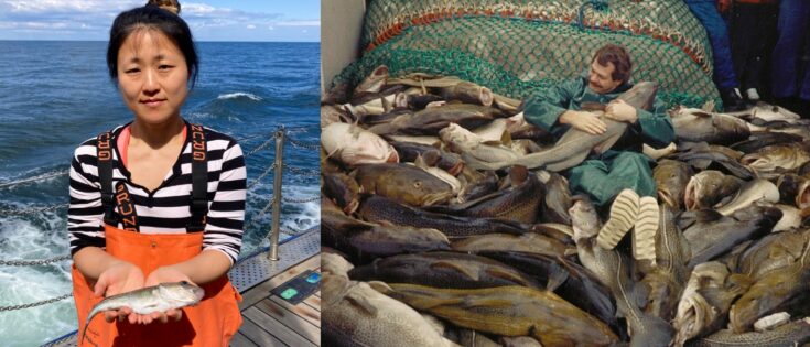 Eine Frau in orangefarbener Arbeitskleidung hält einen kleinen Fisch; daneben eine Aufnahme von 1987, bei der ein Mann inmitten riesiger gefangener Fische liegt.