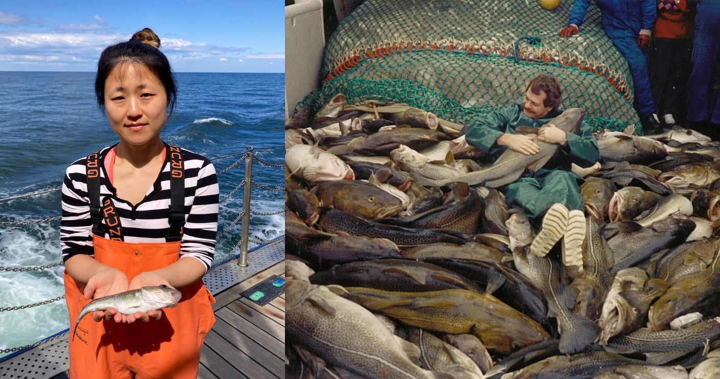 Eine Frau in orangefarbener Arbeitskleidung hält einen kleinen Fisch; daneben eine Aufnahme von 1987, bei der ein Mann inmitten riesiger gefangener Fische liegt.